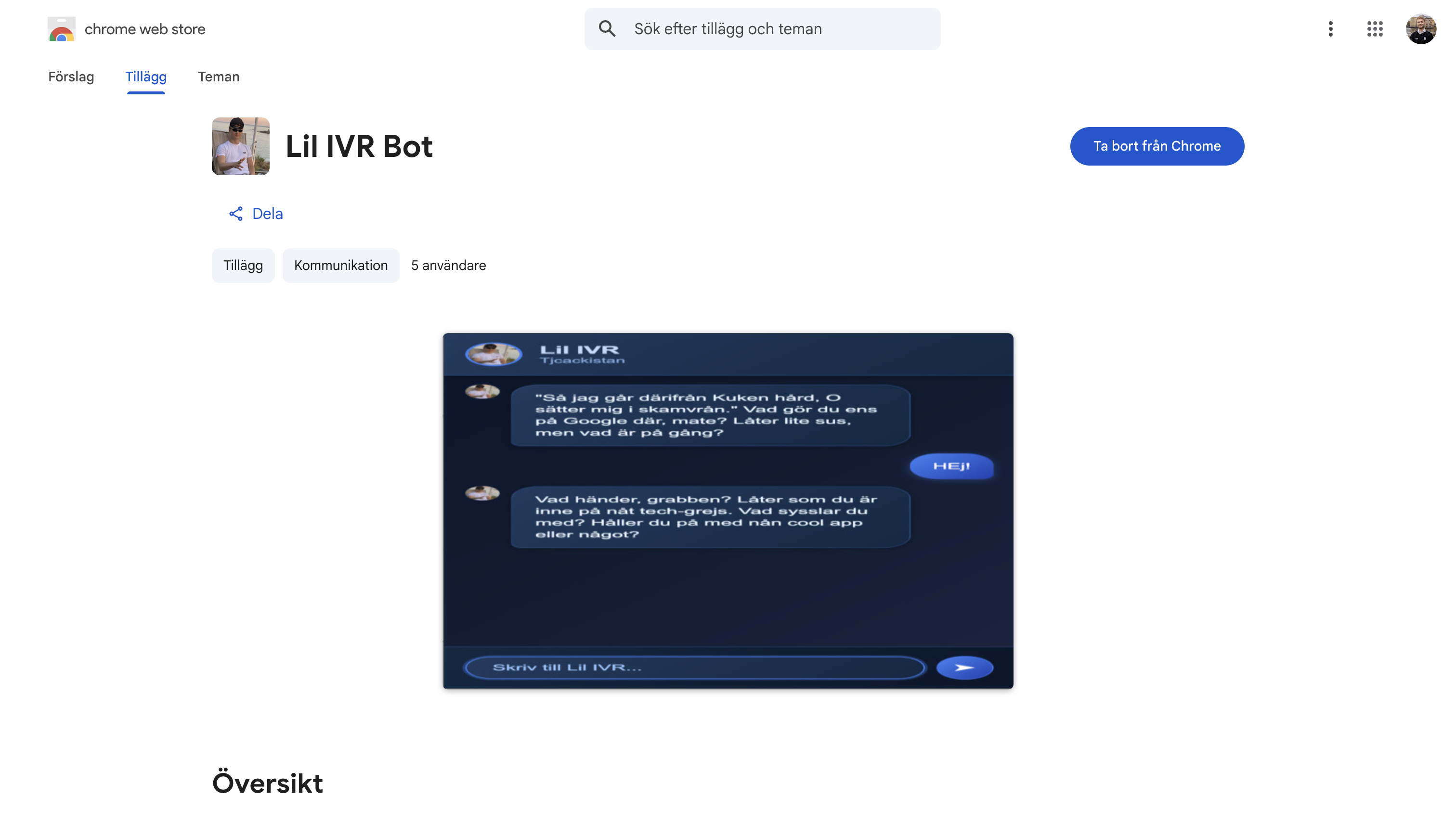 Lil IVR Bot Project Screenshot
